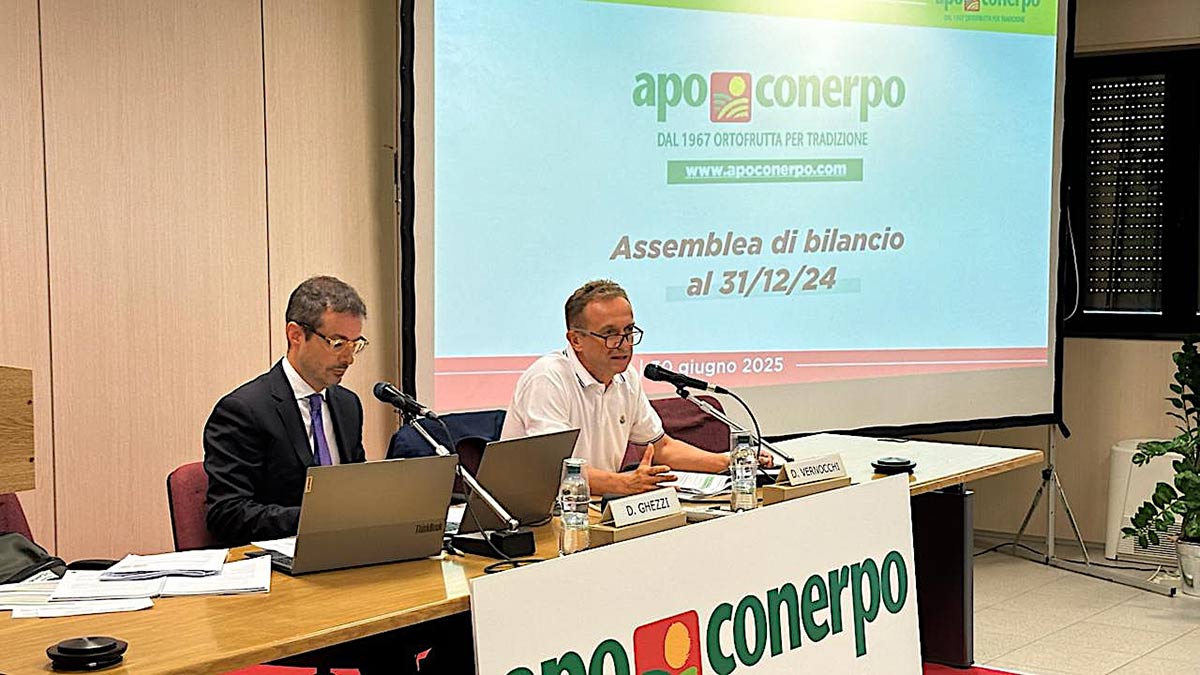 Davide Vernocchi, presidente Apo Conerpo